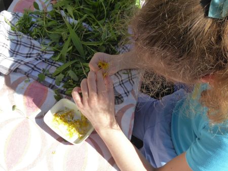 OutdoorkÃ¼che 2.JPG